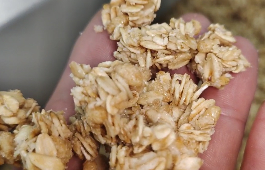 granola production line